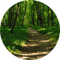 chemin4-web chemin4-web